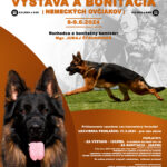 Oblastná výstava a Bonitácia Dona Dog Center Ruské Pekľany 8. - 9.6.2024