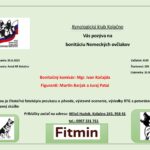 Bonitácia nemeckých ovčiakov - Kolačno