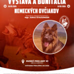 Výstava a bonitácia nemeckých ovčiakov 30. - 31.05.2026 Ruské Pekľany