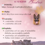 Hlavná špeciálna výstava NO a Körung, Beckov, 11.-13.9.26