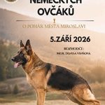 Post: 13724